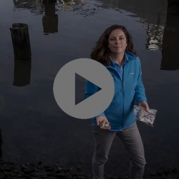 Video: Over 1 BILLION microplastics in the Bay