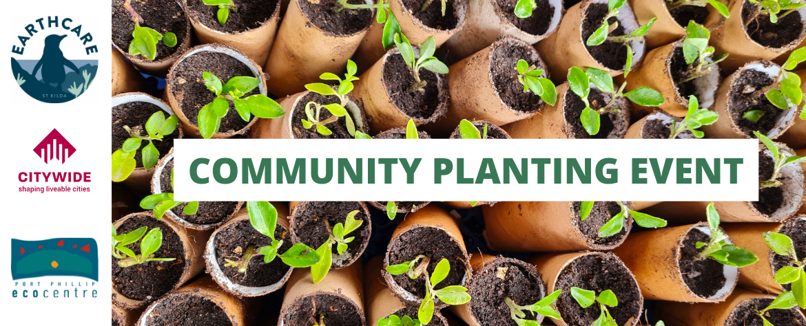 Community Planting Event