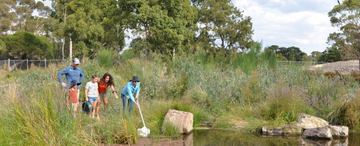 Wetlands and Wildlife 01