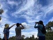 Wetlands and Wildlife_Bird Watching