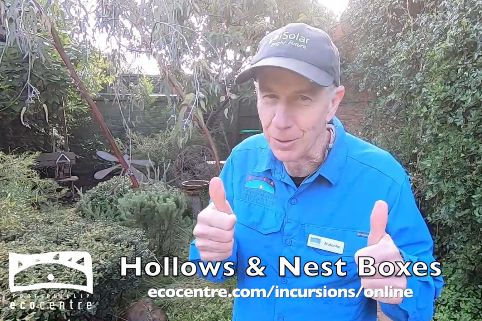 Big - Video Thumbnail Hollows Nest Boxes