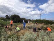 Community planting in nature