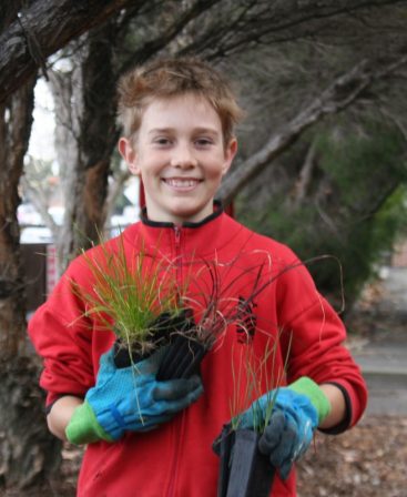 Boy holding plant